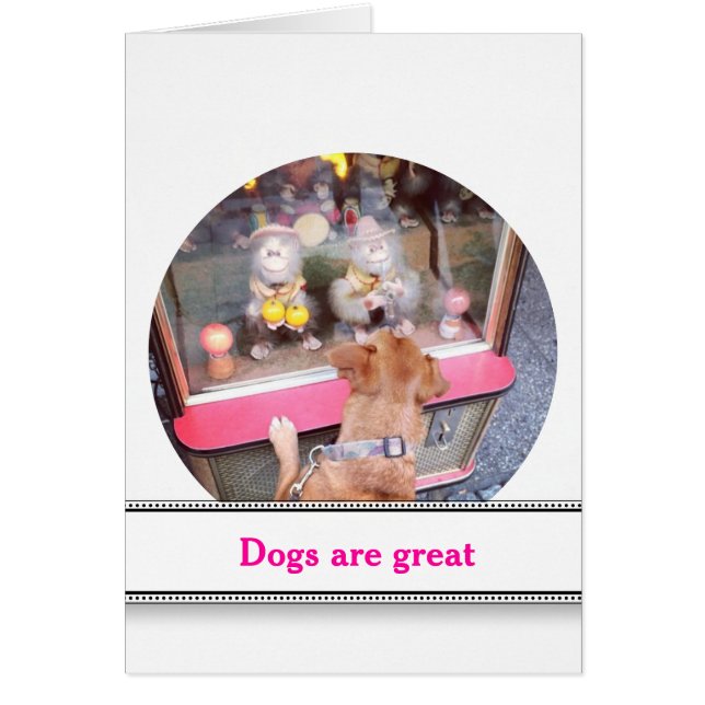 Hunde (Vorne)