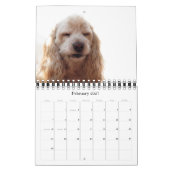 Hunde 2009 kalender (Feb 2027)