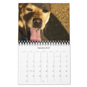 Hunde 2009 kalender (Jan 2027)