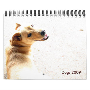 Hunde 2009 kalender