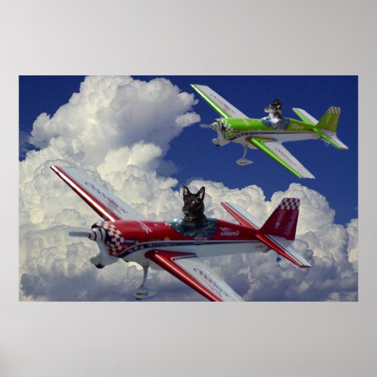 Hunde 4 poster (Vorne)