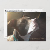 Hunde-Adoption-Rettungsschirme Postkarte (Vorne/Hinten)