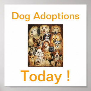 Hunde Adoptionen heute Zeichen Poster