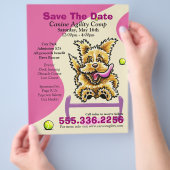 Hunde-Agility-Wettbewerb Vorteile Event-Werbung Li Flyer (Hand)