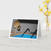 Hunde am Pool Karte (Gelbe Blume)
