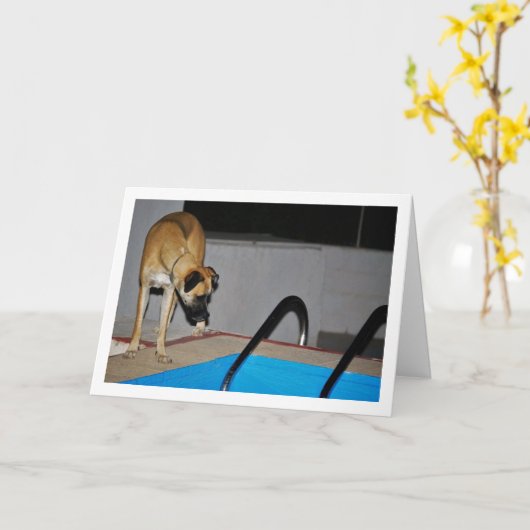 Hunde am Pool Karte (Gelbe Blume)
