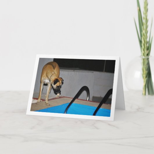 Hunde am Pool Karte (Vorderseite)