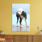 Hunde am Pool Leinwanddruck (Insitu (Wohnzimmer))