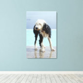 Hunde am Pool Leinwanddruck (Insitu (Holzboden))