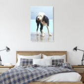 Hunde am Pool Leinwanddruck (Insitu (Schlafzimmer))