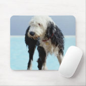 Hunde am Pool Mousepad (Mit Mouse)