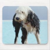 Hunde am Pool Mousepad (Vorne)