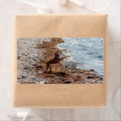 Hunde am Strand (Insitu)