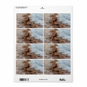 Hunde am Strand (Vorne)