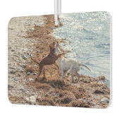 Hunde am Strand Autolufterfrischer (Links)