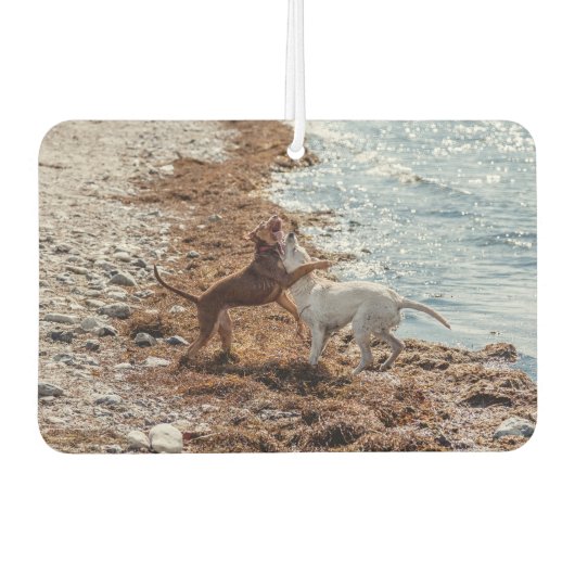 Hunde am Strand Autolufterfrischer (Vorderseite)