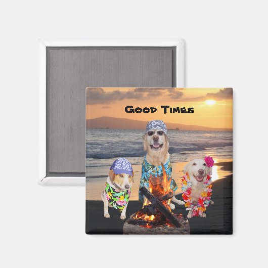 Hunde am Strand bei Sunset Magnet (Vorderseite/Rückseite)