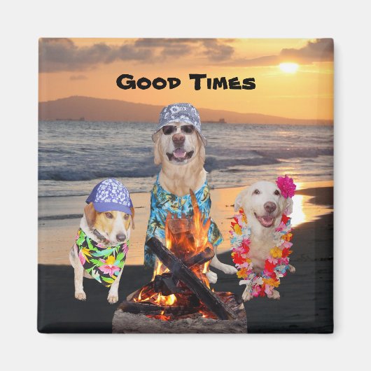 Hunde am Strand bei Sunset Magnet (Vorne)