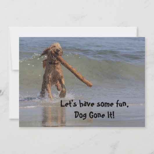 Hunde am Strand Einladung (Vorderseite)