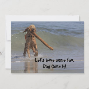 Hunde am Strand Einladung