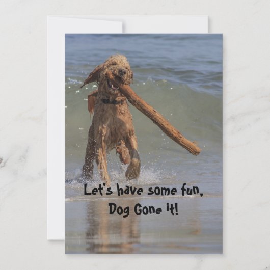 Hunde am Strand Einladung (Vorderseite)