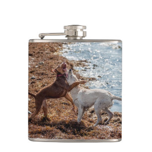 Hunde am Strand Flachmann