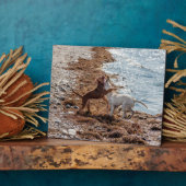 Hunde am Strand Fotoplatte (Seite)