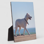 Hunde am Strand Fotoplatte (Seite)