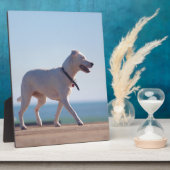 Hunde am Strand Fotoplatte (Seite)