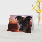 Hunde am Strand, Geburtstag Karte (Gelbe Blume)