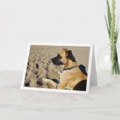 Hunde am Strand Karte (Vorderseite)