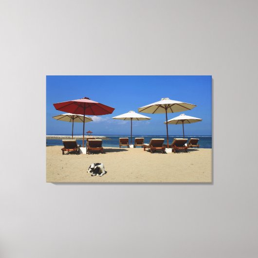 Hunde am Strand Leinwanddruck (Vorderseite)