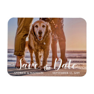 Hunde am Strand mit Couple Save the Date Magnet