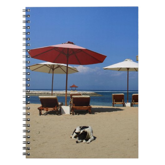 Hunde am Strand Notizblock (Vorderseite)