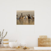 Hunde am Strand Poster (Küche)