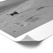 Hunde am Strand Poster (Ecke)