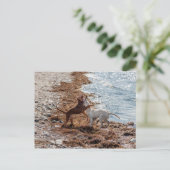 Hunde am Strand Postkarte (Stehend Vorderseite)
