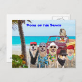 Hunde am Strand Postkarte (Vorne/Hinten)