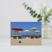 Hunde am Strand Postkarte (Stehend Vorderseite)