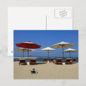 Hunde am Strand Postkarte (Vorne/Hinten)