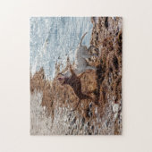 Hunde am Strand Puzzle (Vertikal)