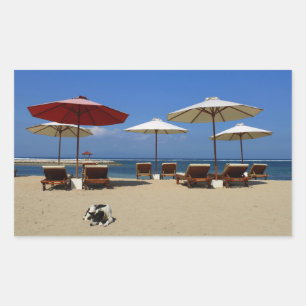 Hunde am Strand Rechteckiger Aufkleber