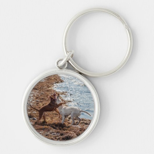 Hunde am Strand Schlüsselanhänger (Vorne)