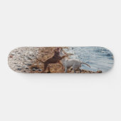 Hunde am Strand Skateboard (Horizontal)