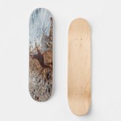 Hunde am Strand Skateboard (Vorderseite)