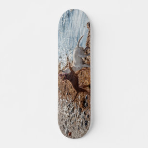 Hunde am Strand Skateboard