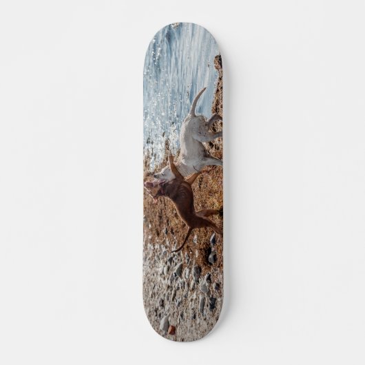 Hunde am Strand Skateboard (Vorne)