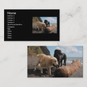Hunde am Strand Visitenkarte (Vorne/Hinten)