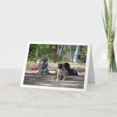 Hunde an der Schulungsschule Karte (Vorderseite)