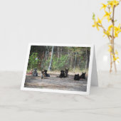 Hunde an der Schulungsschule Karte (Gelbe Blume)